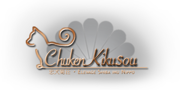 Go Chuken Kikusou